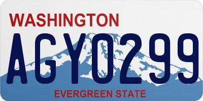 WA license plate AGY0299