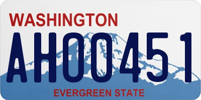 WA license plate AHO0451