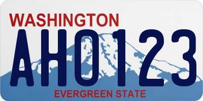 WA license plate AHO123