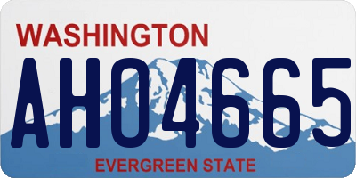 WA license plate AHO4665