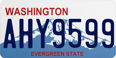 WA license plate AHY9599