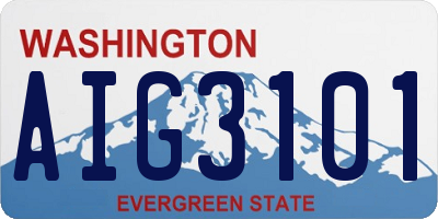 WA license plate AIG3101