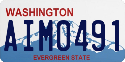 WA license plate AIM0491
