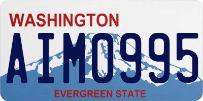 WA license plate AIM0995