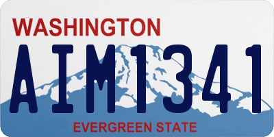 WA license plate AIM1341