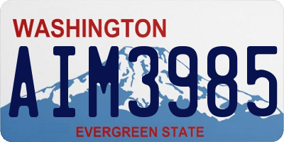 WA license plate AIM3985