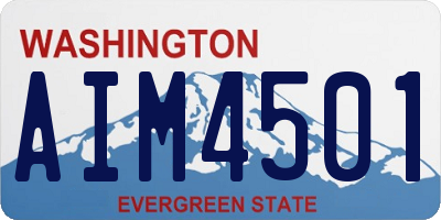 WA license plate AIM4501