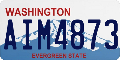 WA license plate AIM4873