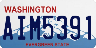 WA license plate AIM5391