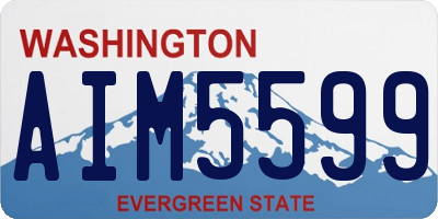 WA license plate AIM5599