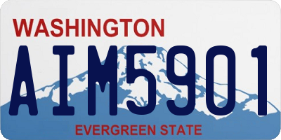 WA license plate AIM5901
