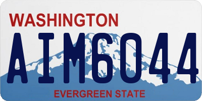WA license plate AIM6044