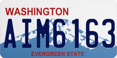 WA license plate AIM6163