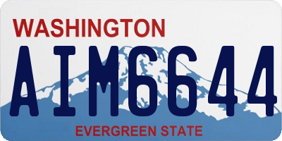 WA license plate AIM6644