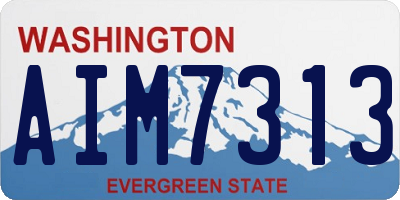 WA license plate AIM7313