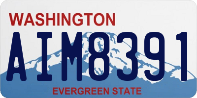 WA license plate AIM8391