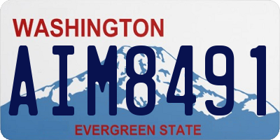 WA license plate AIM8491