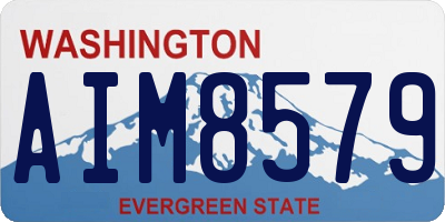 WA license plate AIM8579