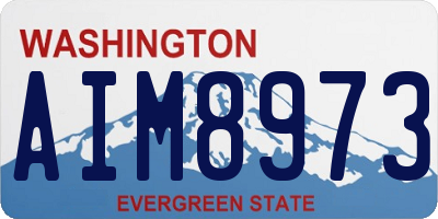 WA license plate AIM8973