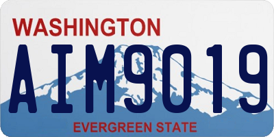 WA license plate AIM9019