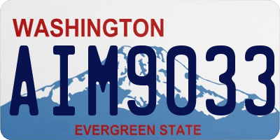 WA license plate AIM9033