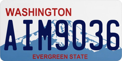 WA license plate AIM9036