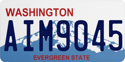 WA license plate AIM9045