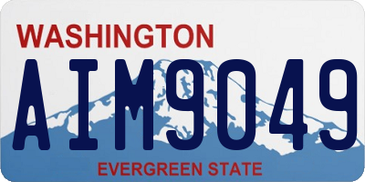 WA license plate AIM9049