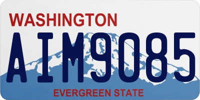 WA license plate AIM9085