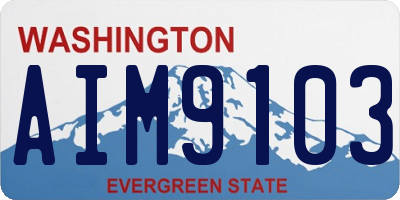 WA license plate AIM9103