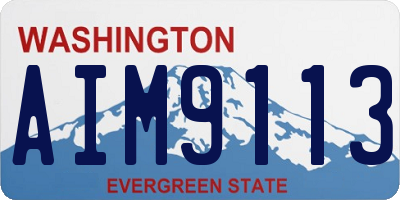 WA license plate AIM9113