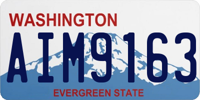 WA license plate AIM9163