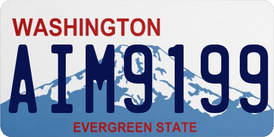 WA license plate AIM9199