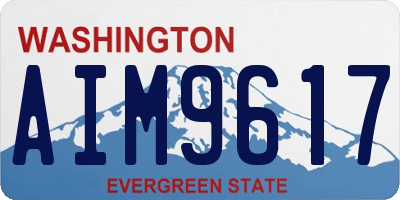 WA license plate AIM9617