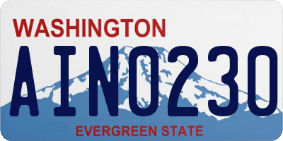 WA license plate AIN0230