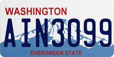 WA license plate AIN3099
