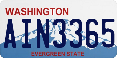 WA license plate AIN3365