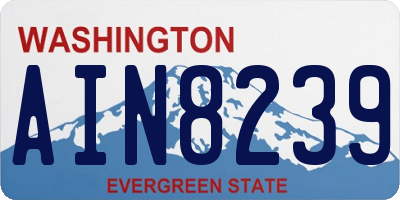 WA license plate AIN8239
