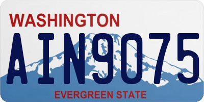 WA license plate AIN9075