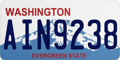 WA license plate AIN9238