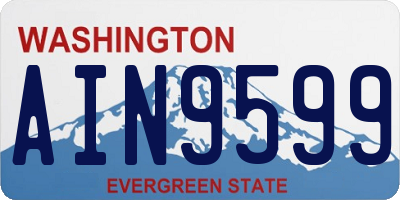 WA license plate AIN9599