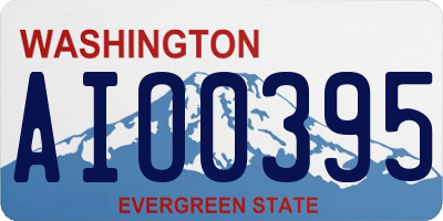 WA license plate AIO0395