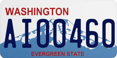 WA license plate AIO0460