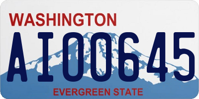 WA license plate AIO0645