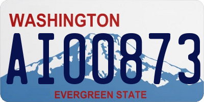 WA license plate AIO0873
