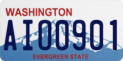WA license plate AIO0901
