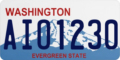 WA license plate AIO1230