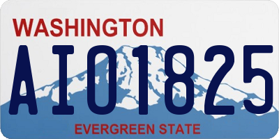 WA license plate AIO1825