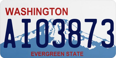 WA license plate AIO3873
