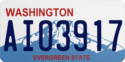 WA license plate AIO3917